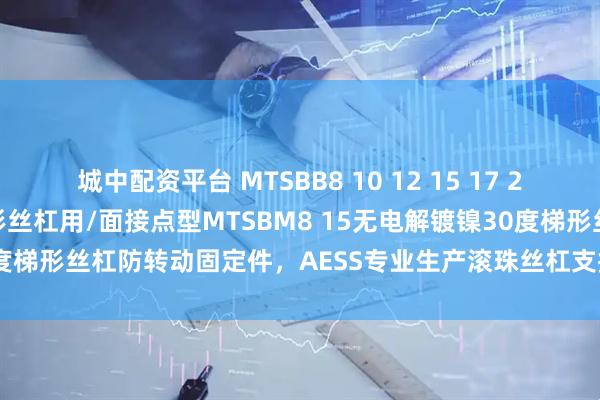 城中配资平台 MTSBB8 10 12 15 17 20 防转动固定件 30度梯形丝杠用/面接点型MTSBM8 15无电解镀镍30度梯形丝杠防转动固定件，AESS专业生产滚珠丝杠支撑座，重载型支撑座
