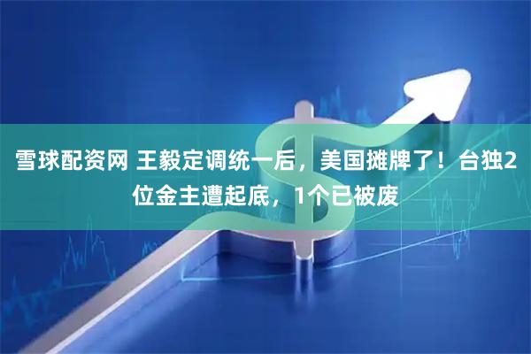 雪球配资网 王毅定调统一后，美国摊牌了！台独2位金主遭起底，1个已被废