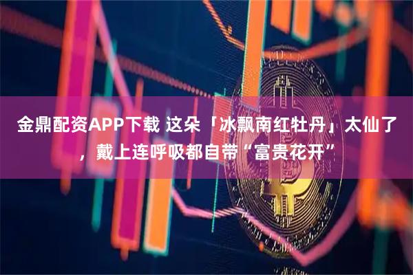 金鼎配资APP下载 这朵「冰飘南红牡丹」太仙了，戴上连呼吸都自带“富贵花开”